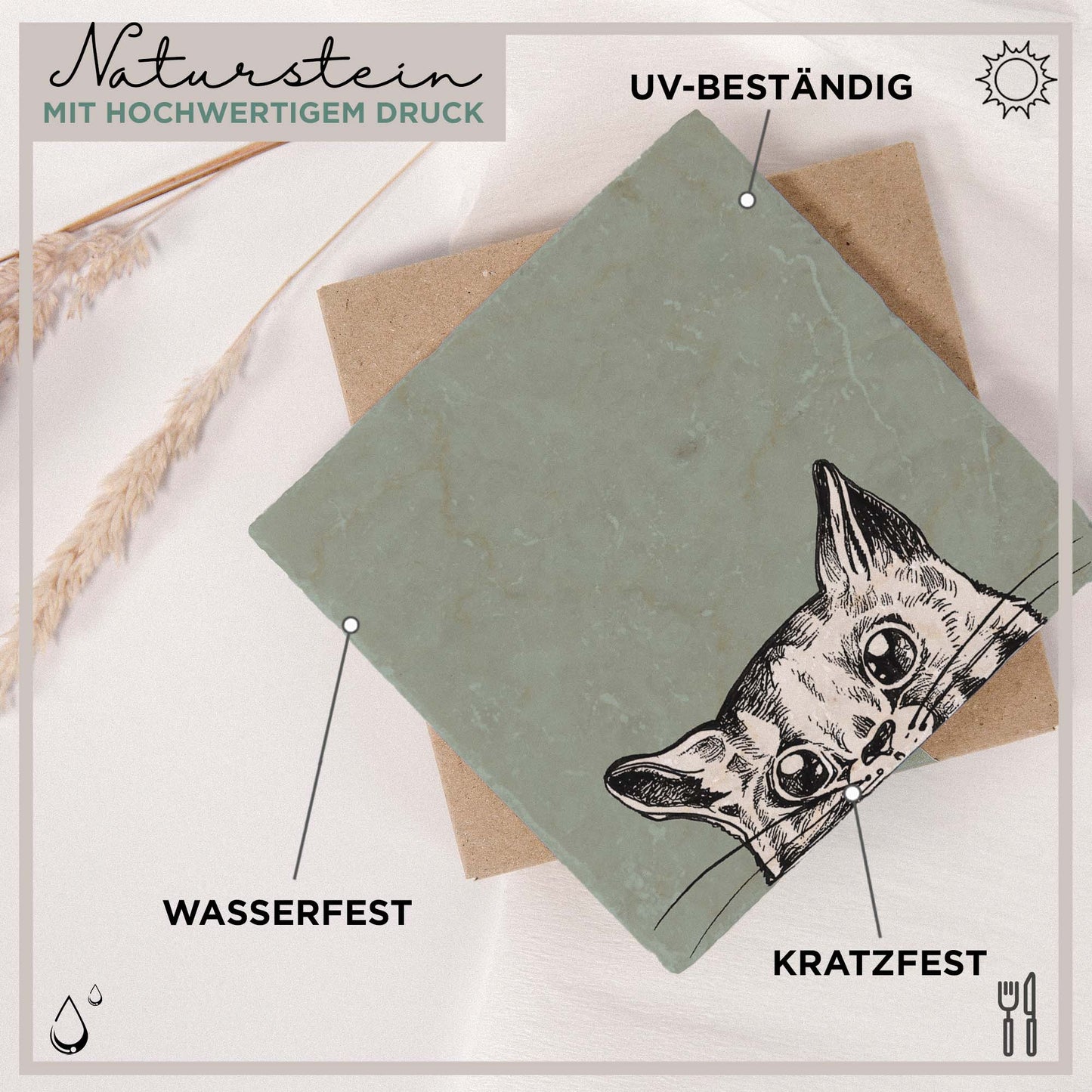 Untersetzer aus Stein mit Katze - Neugierige Mieze
