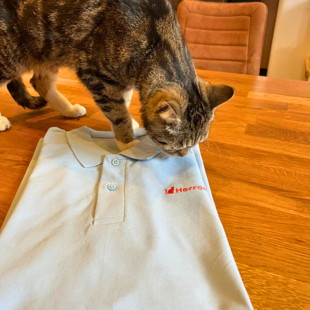 Poloshirt mit Katze und Statement Spruch "Herrchen" in Orange